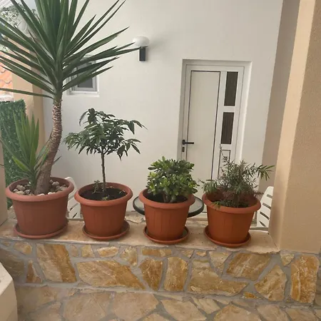 דירה Borex *